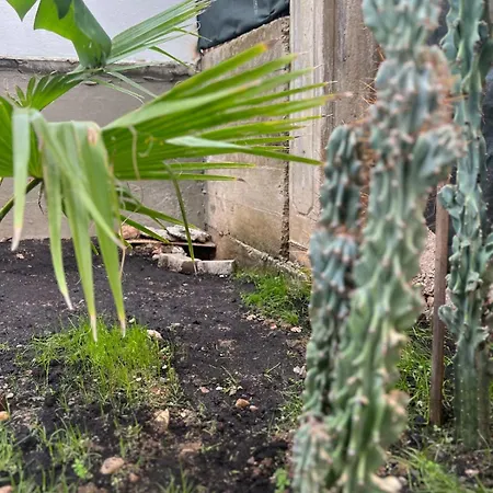 Apartment Garden House-sana Oezel Bahceli Ev Fethiye